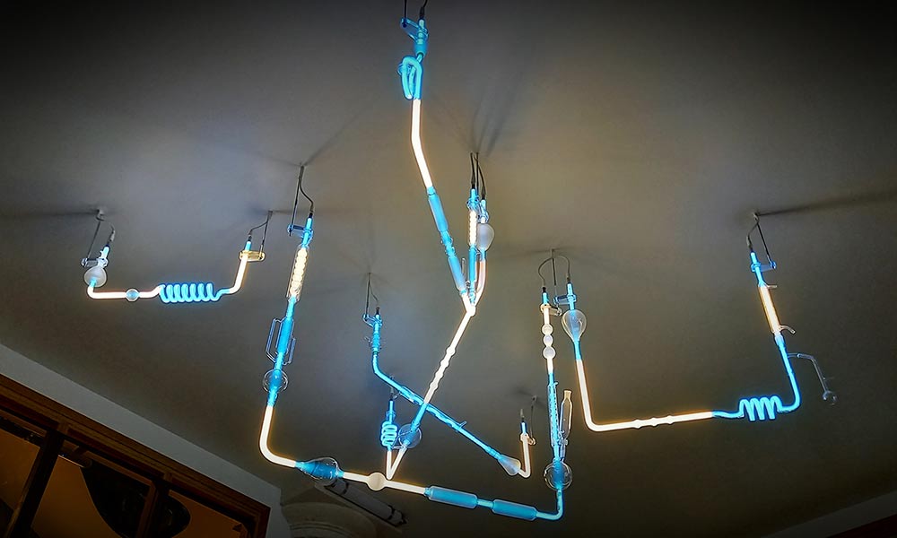 Le magnifique plafonnier dans le hall de l'Hôtel Pasteur évoque la vocation scientifique de l'établissement... »