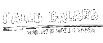 FALLU GALASS - Akoustik Soul Reggae